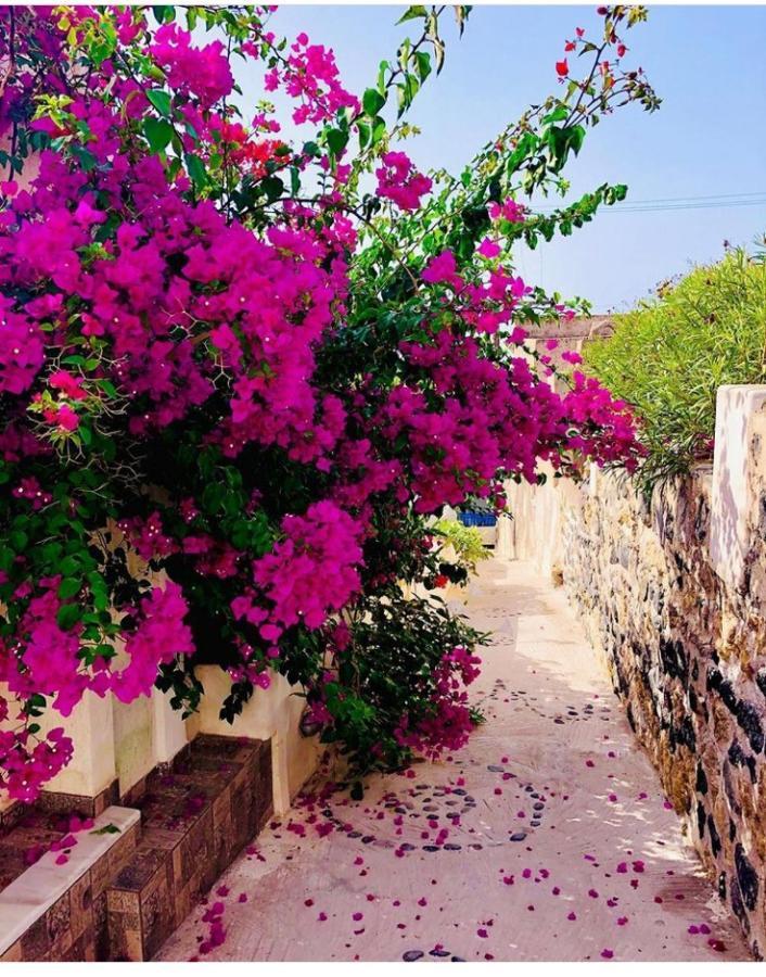 Loukas Kontos Traditional House Emporio  Exterior photo